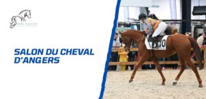 Lire la suite à propos de l’article Le Salon du Cheval d’Angers 2024 – Guide détaillé