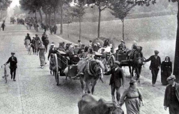 cheval de guerre ardennais