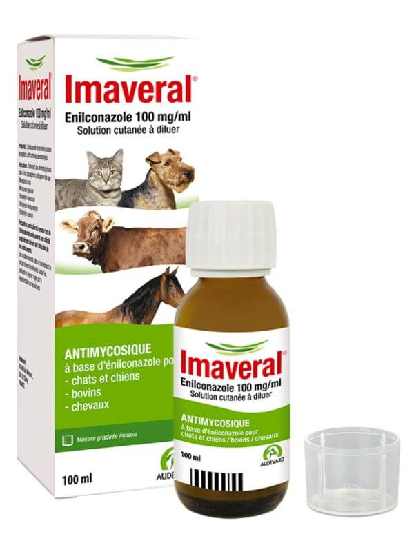 imaveral cheval