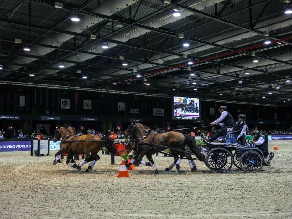 attelage au Jumping de Bordeaux