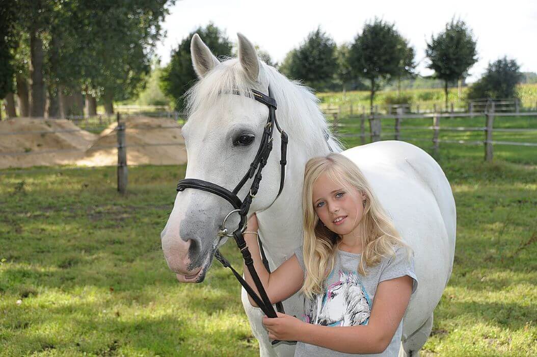 prix d'un poney