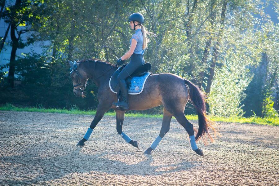 selle pour poney