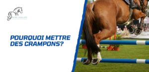 Lire la suite à propos de l’article Pourquoi mettre des crampons à un cheval? Conseils d’experts