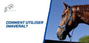 Lire la suite à propos de l’article Comment utiliser Imaveral pour son cheval?