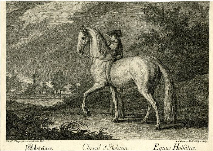 cheval holstein