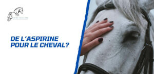 Lire la suite à propos de l’article Peut-on donner de l’aspirine à un cheval?