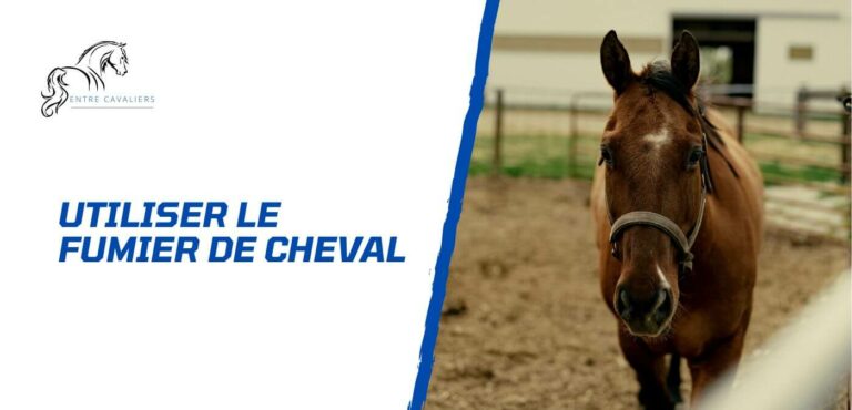 fumier de cheval