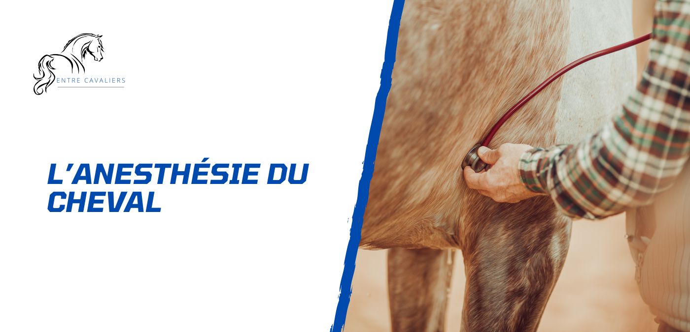 anesthésie cheval