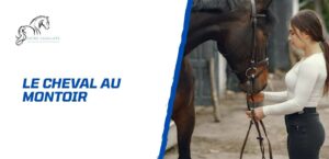 Lire la suite à propos de l’article Comment éduquer son cheval au montoir? Conseils pratiques