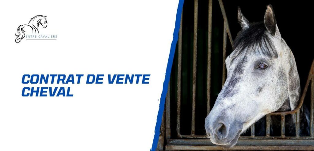 contrat de vente cheval