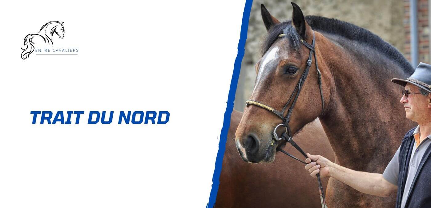 Ravensburger Grand Memory Chevaux - Loto Mémo Et Domino - Achat & Prix | Fnac