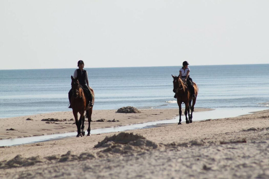 promenades à cheval