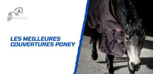 Lire la suite à propos de l’article Comment choisir une couverture poney? Les meilleures marques