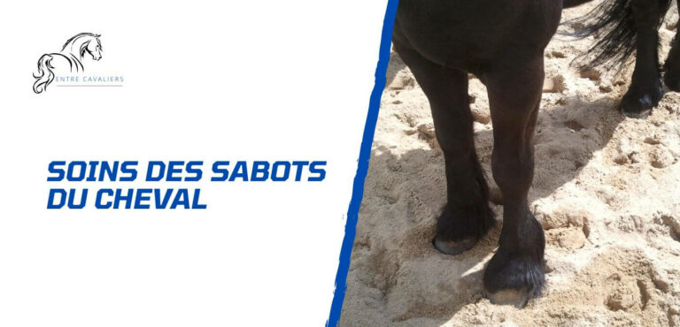 soins des sabots du cheval