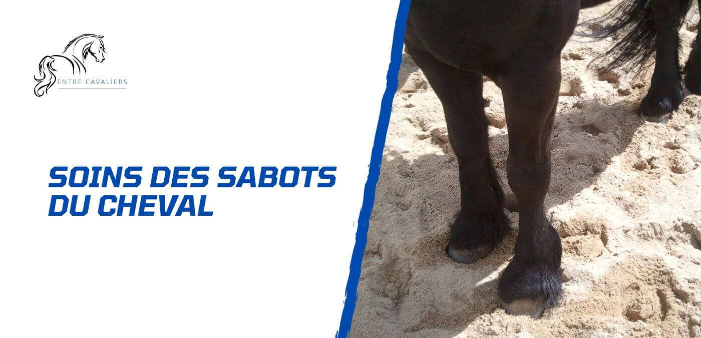 soins des sabots du cheval