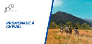 Lire la suite à propos de l’article Promenade à cheval: les plus belles destinations en France