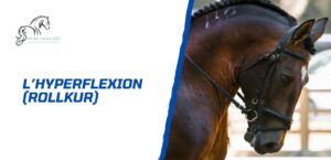 Lire la suite à propos de l’article Les dangers de l’hyperflexion pour le cheval (ou Rollkur)