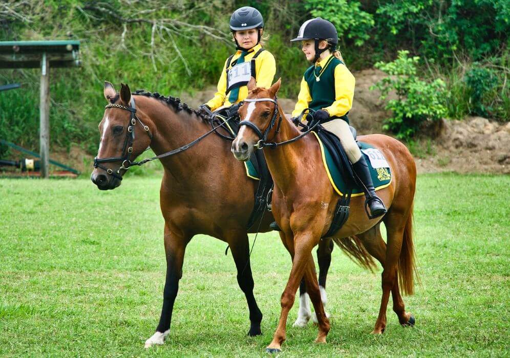 combien de galop peut on passer par an