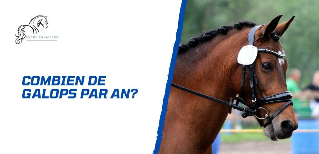 combien de galop peut on passer par an