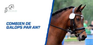 Lire la suite à propos de l’article Combien de Galops peut-on passer par an?