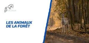 Lire la suite à propos de l’article Tous les animaux de la forêt: la liste complète et détaillée