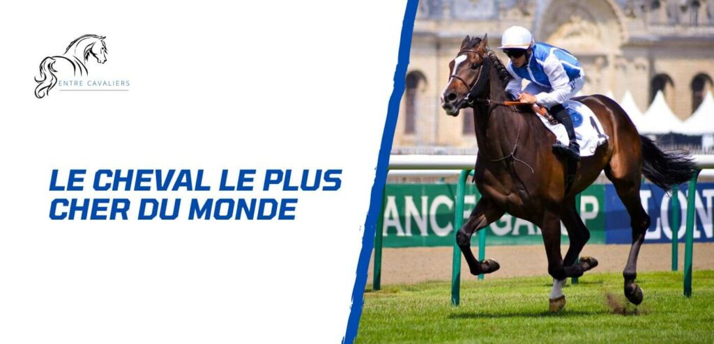 cheval le plus cher du monde