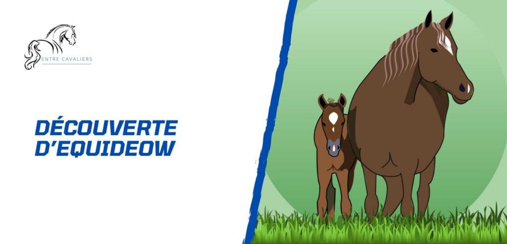 equideow