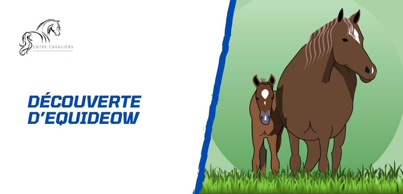 equideow