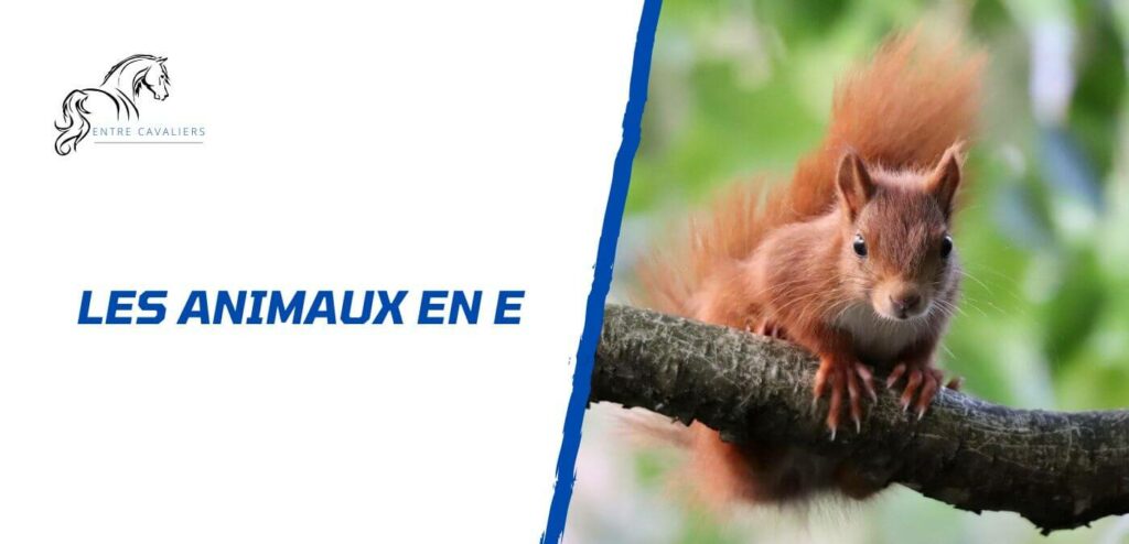 animaux en e