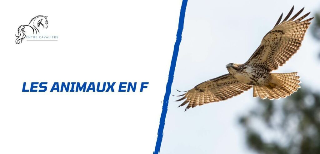 animaux en f