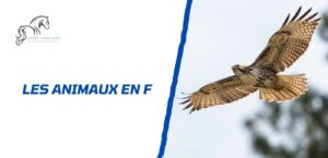 Lire la suite à propos de l’article Quels sont les animaux en F: la liste complète à connaître