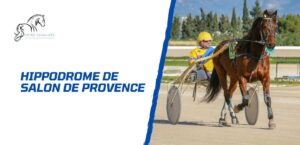 Lire la suite à propos de l’article Plongée au cœur de l’hippodrome de Salon de Provence
