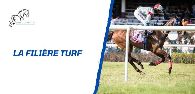 la filière turf