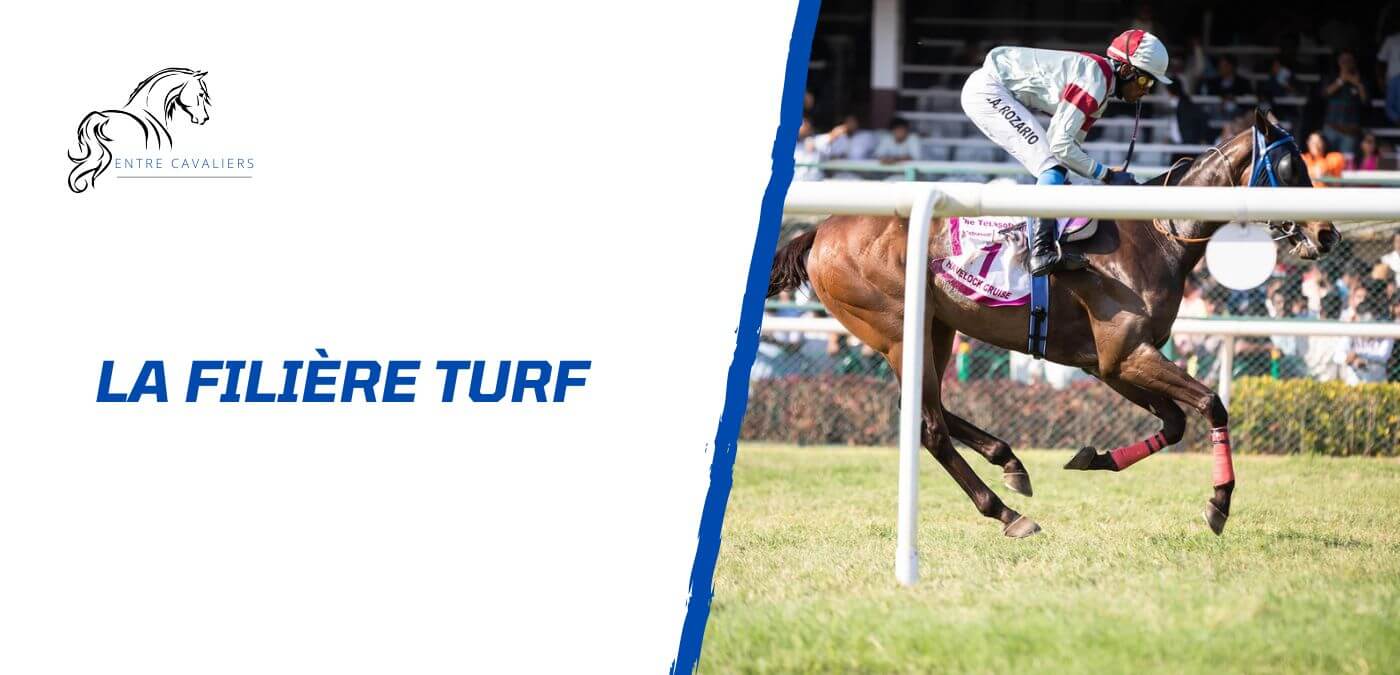 la filière turf