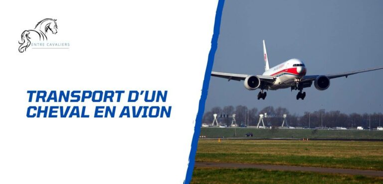 cheval avion
