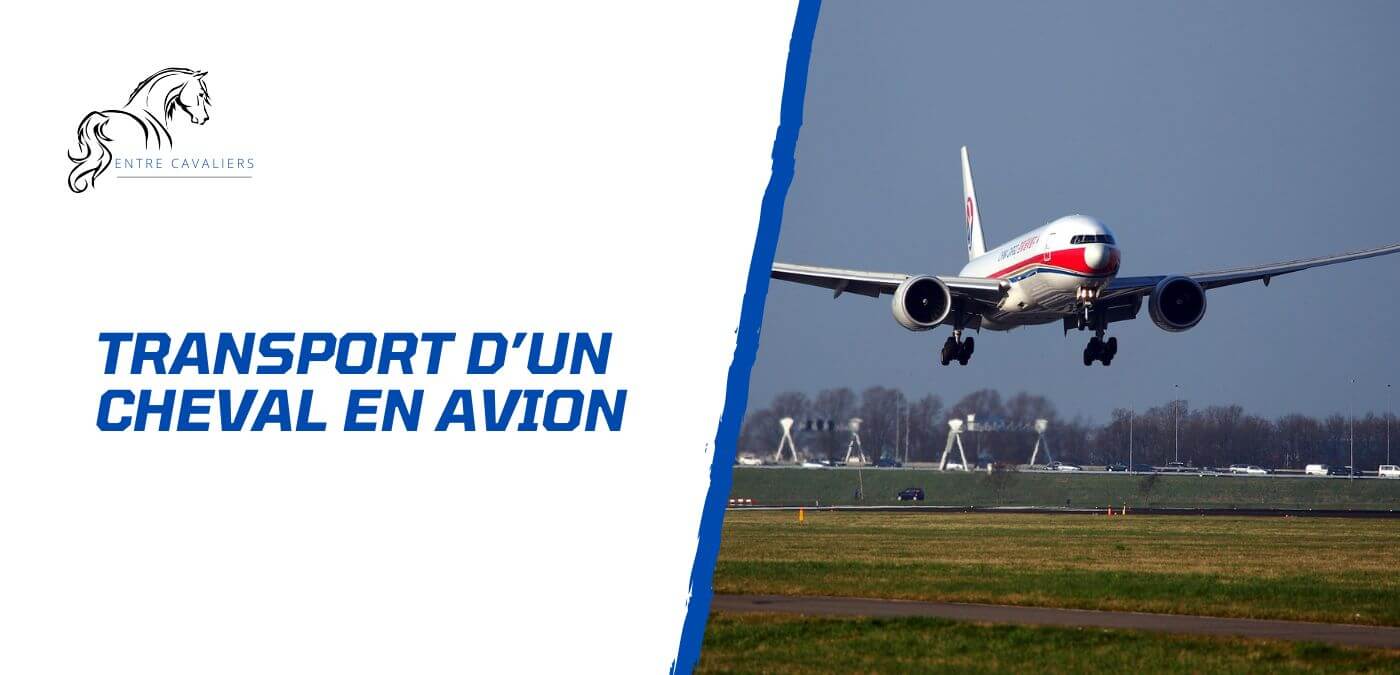 cheval avion