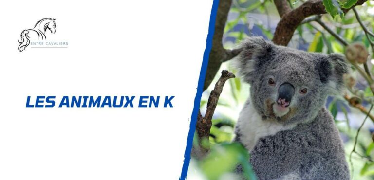 animaux en k