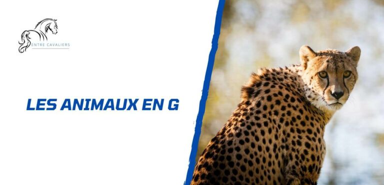 animaux en g