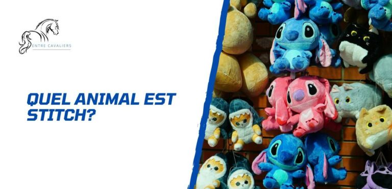 quel animal est stitch