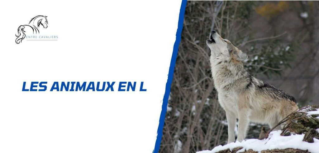 animaux en l