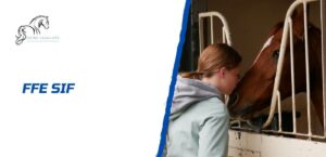 Lire la suite à propos de l’article Découverte de FFE SIF: guide complet pour bien débuter