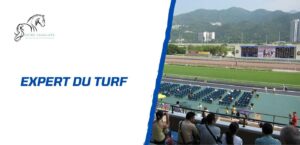 Lire la suite à propos de l’article Expert du Turf: à quoi s’attendre réellement?