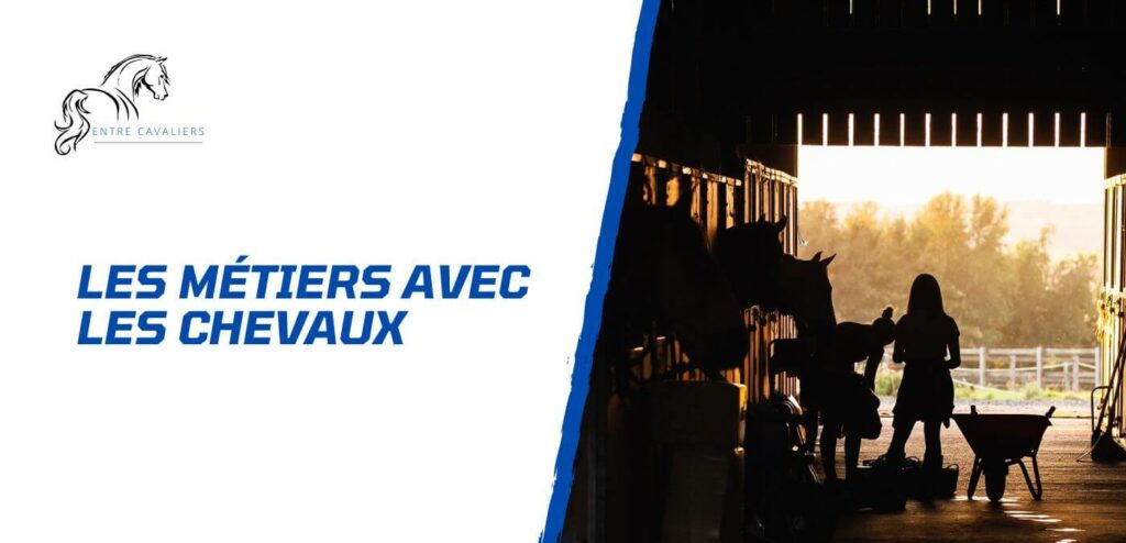 métier avec les chevaux