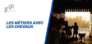 Lire la suite à propos de l’article Quel métier avec les chevaux choisir selon son profil?