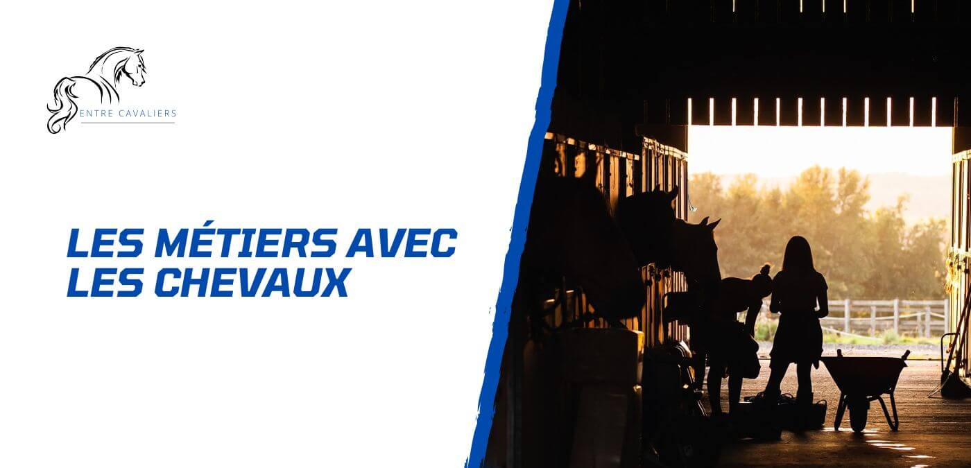 métier avec les chevaux