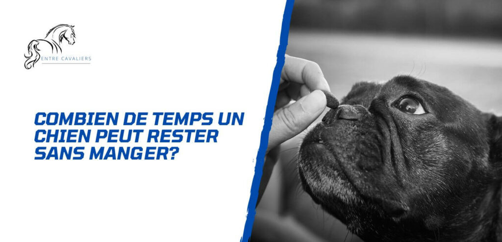 combien de temps un chien peut rester sans manger
