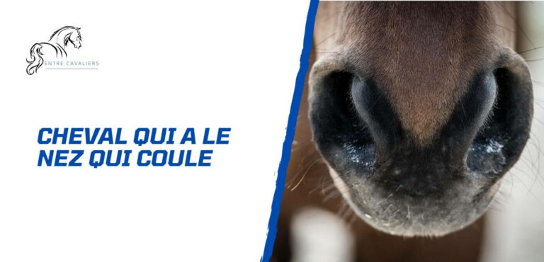 cheval nez qui coule