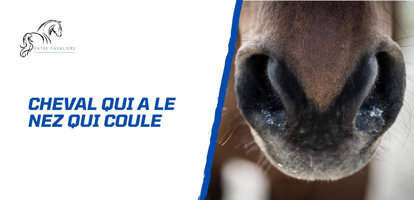 cheval nez qui coule