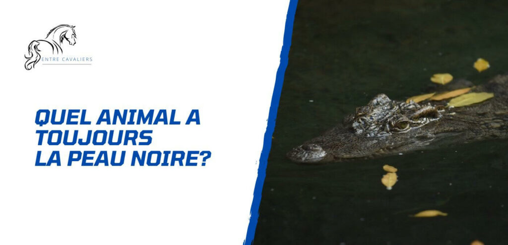quel animal a toujours la peau noire à l'âge adulte