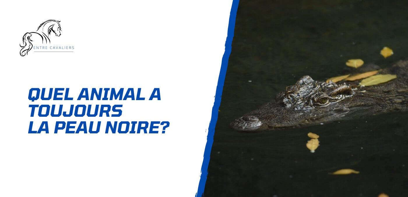 quel animal a toujours la peau noire à l'âge adulte